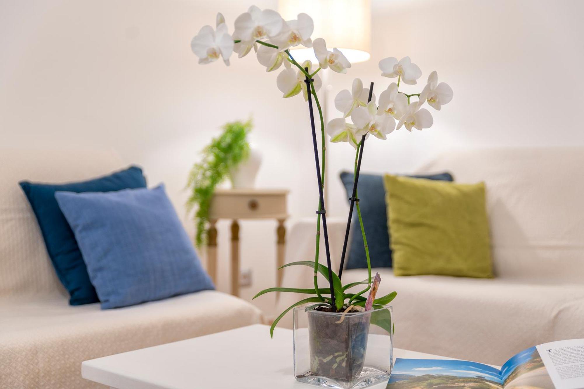 Casa Comoda A Due Passi Dal Lungomare Alghero Zewnętrze zdjęcie